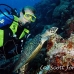 turtle_green_er_h_0705_png1068.jpg